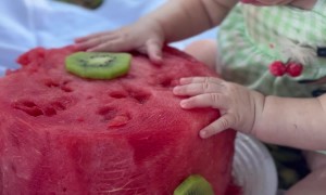 Daughter Desperate For More Watermelon Cake