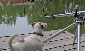Dog Senses Fishing Line Success