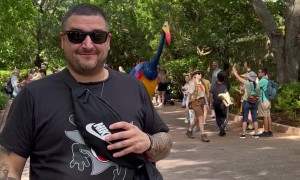 All Gas No Brakes in Disney World