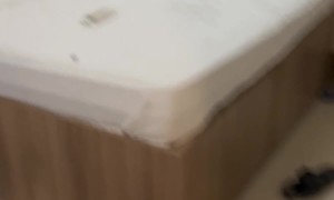 Man Tries to Mess With Monkey Who Entered Room