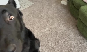 Time for His Breakfast Burp