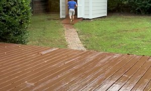 DIY Wasp Nest Removal