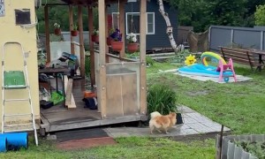 5.1 Magnitude Earthquake Rocks Kamchatka Peninsula in Russia