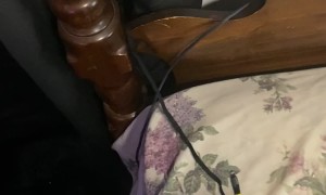 Man Finds a Way to Stop Losing His Remote