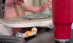 Tiny Splash Ends Tiny Tantrum