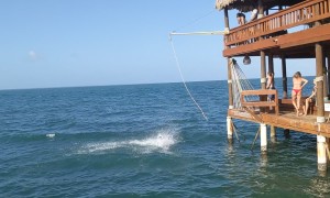 Rope Swing Gets Stuck During Backflip
