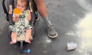 Baby Formula Shake Off