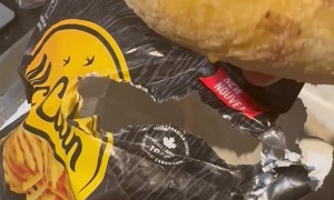 Whole Frozen Potato Found in Bag of Fries