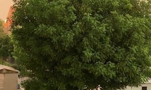 Rainbow Across the Sky