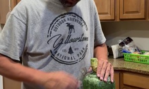 Skull from Cache Valley Giant Pumpkins