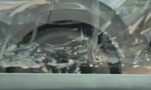 Dachshund Window Smudge Crime vs Criminal