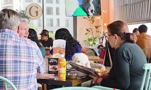 Polite Dog Eating at the Table