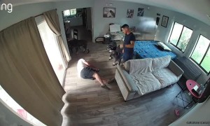 Man Trips Backwards Over Dog