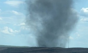 Little Dirt Devil at Work Today