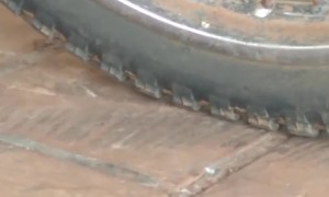 Parrot Uses Beak to Deflate a Motorcycle Tire