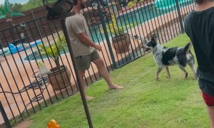 Fiance Accidently Tripped My Nephew