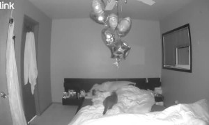 3am Happy Birthday Wish