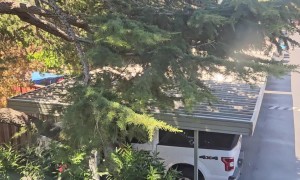 Strangers Caught In Sexual Interaction Outside Apartment Complex