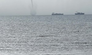Pelicans Dive Into Ocean in Front of Towering Waterspout