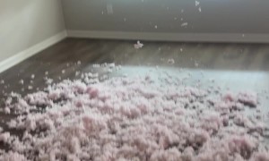 POV You Buy a House and Get Premium Jet 2 Fiber Internet Installed