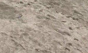 Maverick’s Fishing Lessons