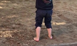 Sandy Puddle Hair Treatment