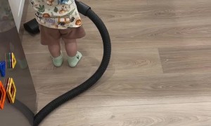 Getting My Son to Help With the Chores