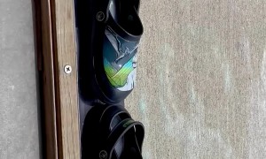 Shrinking Crocs in Extremely Hot Weather