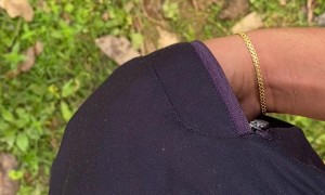 Guinea Pig in My Pocket