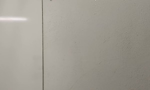 Camp Shower Frog Splat