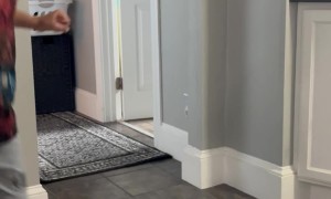 Baby Sister Dance Party