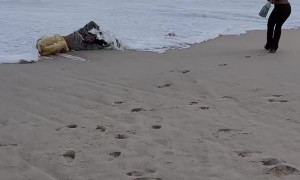 Brazil Waves Hit Fast