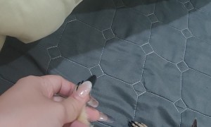 Pet Prairie Dog Comes When Called