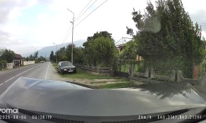 Dashcam Captures Collision With a Horse