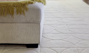 Hide and Seek with Heeler Siblings