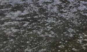 Hard Cooler Protects Head In Hail Storm