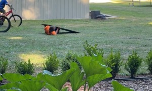 Boys Turn Themselves Into Human Ramps