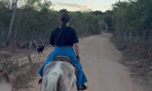 Spooked Horse Almost Falls With Rider