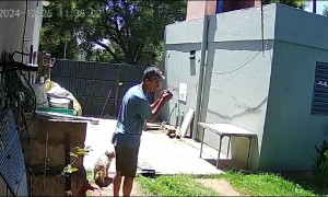 Wild Parrot Flies Into Man's Hands