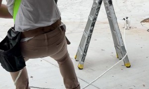 Puppy Helps Harness Safety Demonstration