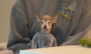 When the Party Was Supposed to Be Over Three Hours Ago