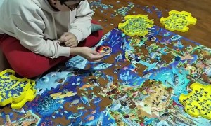 5000 Puzzle Pieces in 30 Seconds