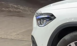 Diva Car Sports Luscious Lashes