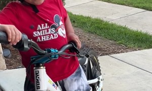 Toddler Crashes Bike
