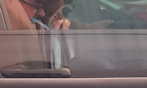 Man Snuggles Pet Squirrel at Stoplight