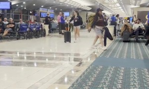 Woman Kicks Airline Agent During Epic Crash Out