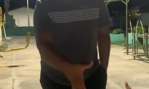 Stray Dog Gets a Goodnight Handshake