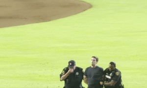 Stumbling Fan Escorted Off Baseball Field