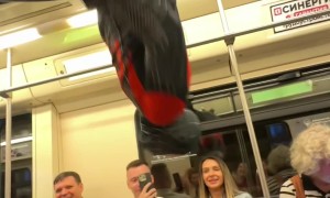 Spider-Man in the Subway