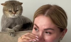 When Your Cat Doesn't Like Your Friend